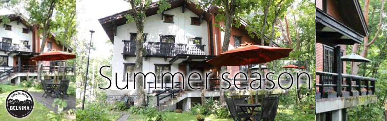 Pension Belnina Хакуба-Мура Экстерьер фото